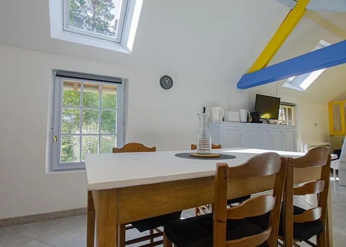 Le Paradis Des Ecureuils